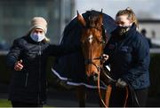 13 March 2021; Trainer Denise Foster, left, and handler Sinéad O'Brien after sending out Coqolino to win the Navan Members Maiden Hurdle (Div 1) at Navan Racecourse in Meath. Photo by Harry Murphy/Sportsfile