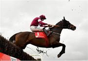 14 March 2021; Conflated, with Jack Kennedy up, jumps the last on their way to winning the Bar One Racing Directors Plate Novice Steeplechase at Naas Racecourse in Kildare. Photo by Seb Daly/Sportsfile