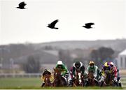 14 March 2021; Runners and riders race up the home straight during the first circuit of the Bar One Racing Maiden Hurdle at Naas Racecourse in Kildare. Photo by Seb Daly/Sportsfile