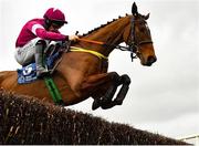 14 March 2021; Momus, with Sean Flanagan up, during the Bar One Racing Beginners Steeplechase at Naas Racecourse in Kildare. Photo by Seb Daly/Sportsfile