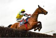 14 March 2021; Brawler, with Conor Orr up, during the Bar One Racing Beginners Steeplechase at Naas Racecourse in Kildare. Photo by Seb Daly/Sportsfile