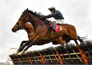 14 March 2021; Goodbye Someday, with Denis O'Regan up, on their way to finishing second in the Bar One Racing Kingsfurze Novice Hurdle at Naas Racecourse in Kildare. Photo by Seb Daly/Sportsfile