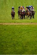 15 March 2021; Runners and riders during the 2m 1f 4-y-o C & G Point-to-Point INH Flat Race at Punchestown Racecourse in Kildare. Photo by Seb Daly/Sportsfile
