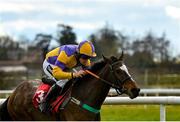 15 March 2021; Last Quarter, with Barry O'Neill up, on their way to winning the 2m 4f 4-y-o C & G Point-to-Point INH Flat Race at Punchestown Racecourse in Kildare. Photo by Seb Daly/Sportsfile
