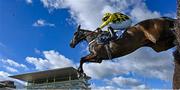 16 March 2021; Shishkin, with Nico de Boinville up, clear the last on their way to winning The Sporting Life Arkle Challenge Trophy Steeple Chase on day 1 of the Cheltenham Racing Festival at Prestbury Park in Cheltenham, England. Photo by Hugh Routledge/Sportsfile