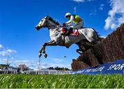 16 March 2021; Vintage Clouds, with Ryan Mania up, jump the last clear of Happygolucky, who finished second with David Bass up, on their way to winning The Ultima Handicap Steeple Chase on day 1 of the Cheltenham Racing Festival at Prestbury Park in Cheltenham, England. Photo by Hugh Routledge/Sportsfile