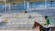 16 March 2021; A general view of one of the main stands on day 1 of the Cheltenham Racing Festival at Prestbury Park in Cheltenham, England. Photo by Hugh Routledge/Sportsfile