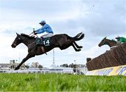 18 March 2021; The Shunter, with Jordan Gainford up, jump the last clear of Top Notch, with Luca Morgan up, and the field on their way to winning The Paddy Power Plate on day 3 of the Cheltenham Racing Festival at Prestbury Park in Cheltenham, England. Photo by Hugh Routledge/Sportsfile