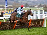 18 March 2021; Telmesomethinggirl, with Rachael Blackmore up, jump the last ahead Magic Daze, with Robbie Power up, on their way to winning The Parnell Properties Mares Novices' Hurdle on day 3 of the Cheltenham Racing Festival at Prestbury Park in Cheltenham, England. Photo by Hugh Routledge/Sportsfile
