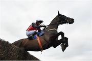 20 March 2021; I'm A Game Changer, with Darragh O'Keeffe up, jumps the last on their way to winning the Pierce Molony Memorial Novice Steeplechase at Thurles Racecourse in Tipperary. Photo by Seb Daly/Sportsfile