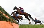 20 March 2021; Felix Desjy, near, with Jack Kennedy up, jumps the last during the first circuit during the Pierce Molony Memorial Novice Steeplechase at Thurles Racecourse in Tipperary. Photo by Seb Daly/Sportsfile