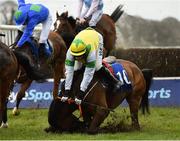 20 March 2021; The Second Coming and jockey Paddy Kennedy fall at the first during the Horse & Jockey Beginners Steeplechase at Thurles Racecourse in Tipperary. Photo by Seb Daly/Sportsfile