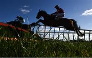 21 March 2021; True Companion, with Jack Gilligan up, right, jump a fence during the Randox Rated Hurdle at Downpatrick Racecourse in Downpatrick. Photo by Harry Murphy/Sportsfile
