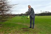 26 March 2021; To mark the launch of Phase 1 of the GAA Green Club Programme, the Easy Treesie – Crann Project (www.easytreesie.com) supported by Coillte (www.coillte.ie) and Trees on the Land (www.treesontheland.com) have agreed to provide GAA, Camogie and LGFA clubs with a generous allocation of native tree saplings, which due to current restrictions on access to Clubs will be distributed at the beginning of the next planting season in November. Coillte and Trees on the Land will donate and deliver approx. 50,000 native saplings to the project. To mark National Tree Week Uachtarán Cumann Luthchleas Gael, Larry McCarthy, planted a native oak, presented by Orla Farrell, Project lead of Easy Treesie. The planting took place on Fingal County Council land at Malahide Castle adjacent to the St Sylvester's GAA playing fields. Pictured is Uachtarán Chumann Lúthchleas Gael Larry McCarthy planting a native oak at Malahide Castle grounds in Dublin. Photo by Brendan Moran/Sportsfile