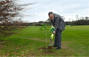 26 March 2021; To mark the launch of Phase 1 of the GAA Green Club Programme, the Easy Treesie – Crann Project (www.easytreesie.com) supported by Coillte (www.coillte.ie) and Trees on the Land (www.treesontheland.com) have agreed to provide GAA, Camogie and LGFA clubs with a generous allocation of native tree saplings, which due to current restrictions on access to Clubs will be distributed at the beginning of the next planting season in November. Coillte and Trees on the Land will donate and deliver approx. 50,000 native saplings to the project. To mark National Tree Week Uachtarán Cumann Luthchleas Gael, Larry McCarthy, planted a native oak, presented by Orla Farrell, Project lead of Easy Treesie. The planting took place on Fingal County Council land at Malahide Castle adjacent to the St Sylvester's GAA playing fields. Pictured is Uachtarán Chumann Lúthchleas Gael Larry McCarthy planting a native oak at Malahide Castle grounds in Dublin. Photo by Brendan Moran/Sportsfile