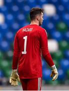 28 March 2021; Conor Hazard of Northern Ireland during the International friendly match between Northern Ireland and USA at National Football Stadium at Windsor Park in Belfast. Photo by David Fitzgerald/Sportsfile