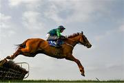 1 April 2021; Natural Breeze, with James O'Sullivan up, jump the ninth, on their way to winning the Tote.ie Home Of The Placepot Handicap Hurdle at Clonmel Racecourse in Tipperary. Photo by Harry Murphy/Sportsfile