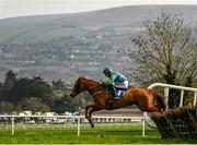 1 April 2021; Natural Breeze, with James O'Sullivan up, jump the ninth, on their way to winning the Tote.ie Home Of The Placepot Handicap Hurdle at Clonmel Racecourse in Tipperary. Photo by Harry Murphy/Sportsfile