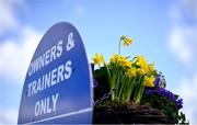 3 April 2021; A view of daffodils and a sign prior to racing on day one of the Fairyhouse Easter Festival at the Fairyhouse Racecourse in Ratoath, Meath. Photo by David Fitzgerald/Sportsfile