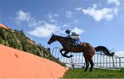 3 April 2021; Solomn Grundy, with Jamie Scallan up, jumps the last on their way to winning the Frank & Teresa O'Reilly Memorial Hunters steeplechase on day one of the Fairyhouse Easter Festival at the Fairyhouse Racecourse in Ratoath, Meath. Photo by David Fitzgerald/Sportsfile