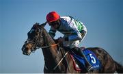 3 April 2021; Party Central, with Jamie Codd up, cross the line to win the Irish Stallion Farms EBF Total Enjoyment Mares flat race on day one of the Fairyhouse Easter Festival at the Fairyhouse Racecourse in Ratoath, Meath. Photo by David Fitzgerald/Sportsfile