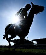 3 April 2021; Brooklynn Glory, with Patrick Mullins up, in action during the Irish Stallion Farms EBF Total Enjoyment Mares flat race on day one of the Fairyhouse Easter Festival at the Fairyhouse Racecourse in Ratoath, Meath. Photo by David Fitzgerald/Sportsfile