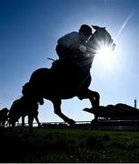 3 April 2021; Party Central, with Jamie Codd up, cross the line to win the Irish Stallion Farms EBF Total Enjoyment Mares flat race on day one of the Fairyhouse Easter Festival at the Fairyhouse Racecourse in Ratoath, Meath. Photo by David Fitzgerald/Sportsfile