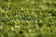 3 April 2021; A general view of grass during the SSE Airtricity Women's National League match between DLR Waves and Wexford Youths at UCD Bowl in Belfield, Dublin. Photo by Piaras Ó Mídheach/Sportsfile