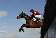 4 April 2021; Conflated, with Jack Kennedy up, jumps the last during the Underwriting Exchange Gold Cup Novice Steeplechase on day two of the Fairyhouse Easter Festival at the Fairyhouse Racecourse in Ratoath, Meath. Photo by Seb Daly/Sportsfile
