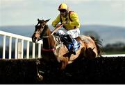 5 April 2021; Freewheelin Dylan, with Ricky Doyle up, jumps the last on their way to winning the BoyleSports Irish Grand National Steeplechase during day three of the Fairyhouse Easter Festival at the Fairyhouse Racecourse in Ratoath, Meath. Photo by Harry Murphy/Sportsfile