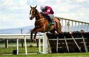 5 April 2021; Sixshooter, with Denis O'Regan up, jump the last on their way to finishing third in the Underwriting Exchange Hurdle during day three of the Fairyhouse Easter Festival at the Fairyhouse Racecourse in Ratoath, Meath. Photo by Harry Murphy/Sportsfile