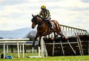 5 April 2021; Busselton, with JJ Slevin up, jumps the last, first time round, on their way to fourth the Rathbarry & Glenview Studs Juvenile Hurdle during day three of the Fairyhouse Easter Festival at the Fairyhouse Racecourse in Ratoath, Meath. Photo by Harry Murphy/Sportsfile