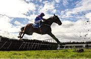 5 April 2021; Ellie Mac, with Rachael Blackmore up, jumps the last, first time round, before pulling up in the Fairyhouse Steel Handicap Hurdle during day three of the Fairyhouse Easter Festival at the Fairyhouse Racecourse in Ratoath, Meath. Photo by Harry Murphy/Sportsfile