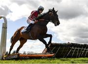 5 April 2021; Excelcius, with Danny Mullins up, jumps the last on their way to finishing nineteenth in the Farmhouse Foods Novice Handicap Hurdle during day three of the Fairyhouse Easter Festival at the Fairyhouse Racecourse in Ratoath, Meath. Photo by Harry Murphy/Sportsfile