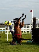 13 April 2021; Jockey Conor Orr falls from Castlebellingham during the Fairyhouse Evening Racing May 28th Beginners stepplechase at Fairyhouse Racecourse in Ratoath, Meath. Photo by David Fitzgerald/Sportsfile