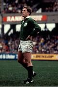 21 November 1981; Fergus Slattery of Ireland during the Autumn International rugby match between Ireland and Australia at Lansdowne Road in Dublin. Photo by Ray McManus/Sportsfile
