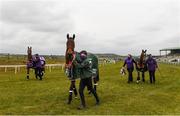 18 April 2021; Minella Times, winner of the Aintree Grand National, centre, Minella Indo, winner of the Cheltenham Gold Cup, left, and Put The Kettle On, winner of the Cheltenham Champion Hurdle, right, walk down the track at Tramore Racecourse in Waterford. Photo by Harry Murphy/Sportsfile