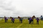 18 April 2021; Henry de Bromhead winners, from left, Minella Indo, winner of the Cheltenham Gold Cup, Honeysuckle, winner of the Cheltenham Champion Hurdle, and Minella Times, winner of the Aintree Grand National, and Put The Kettle On, winner of the Cheltenham Champion Chase, parade at Tramore Racecourse in Waterford. Photo by Harry Murphy/Sportsfile