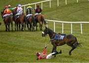 18 April 2021; Shamrockembassador unmounts jockey Aidan Kelly for a third time before being withdrawn from the Adare Manor Opportunity Maiden Hurdle at Tramore Racecourse in Waterford. Photo by Harry Murphy/Sportsfile