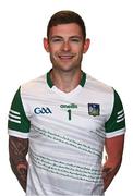 25 April 2021; Barry Hennessy during a Limerick hurling squad portrait session at LIT Gaelic Grounds in Limerick. Photo by Piaras Ó Mídheach/Sportsfile