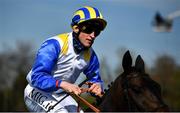 24 April 2021; Jockey Gary Halpin after winning the Irish Stallion Farms EBF Salsabil Stakes race on Rocky Star at Navan Racecourse in Navan, Meath. Photo by David Fitzgerald/Sportsfile