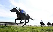 24 April 2021; Rocky Star, with Gary Halpin up, cross the line to win the Irish Stallion Farms EBF Salsabil Stakes race at Navan Racecourse in Navan, Meath. Photo by David Fitzgerald/Sportsfile