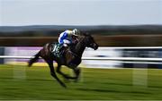 24 April 2021; Rocky Star, with Gary Halpin up, on their way to winning the Irish Stallion Farms EBF Salsabil Stakes race at Navan Racecourse in Navan, Meath. Photo by David Fitzgerald/Sportsfile