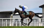 24 April 2021; Rocky Sky, with Gary Halpin up, go to post prior to the Irish Stallion Farms EBF Salsabil Stakes race at Navan Racecourse in Navan, Meath. Photo by David Fitzgerald/Sportsfile