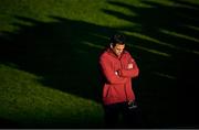 24 April 2021; Munster head coach Johann van Graan before the Guinness PRO14 Rainbow Cup match between Leinster and Munster at RDS Arena in Dublin. Photo by Piaras Ó Mídheach/Sportsfile