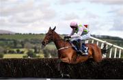 27 April 2021; Chacun Pour Soi, with Paul Townend up, clears the last on their way to winning the William Hill Champion Steeplechase during day one of the Punchestown Festival at Punchestown Racecourse in Kildare. Photo by David Fitzgerald/Sportsfile