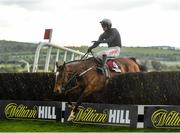 27 April 2021; Colreevy, with Danny Mullins up, jump the last on their way to winning the Dooley Insurance Champion Novice Steeplechase during day one of the Punchestown Festival at Punchestown Racecourse in Kildare. Photo by David Fitzgerald/Sportsfile