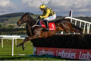 28 April 2021; Al Boum Photo, with Paul Townend up, jumps the sixth on their way to finishing second in the Ladbrokes Punchestown Gold Cup during day two of the Punchestown Festival at Punchestown Racecourse in Kildare. Photo by David Fitzgerald/Sportsfile