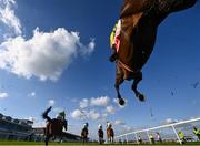 28 April 2021; Al Boum Photo, with Paul Townend up, jumps the sixth on their way to finishing second in the Ladbrokes Punchestown Gold Cup during day two of the Punchestown Festival at Punchestown Racecourse in Kildare. Photo by David Fitzgerald/Sportsfile