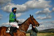 28 April 2021; Jockey Derek O'Connor and Kilcruit after winning the ITM Champion INH Flat Race during day two of the Punchestown Festival at Punchestown Racecourse in Kildare. Photo by David Fitzgerald/Sportsfile